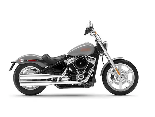 Custom / Cruiser Bikes for Sale